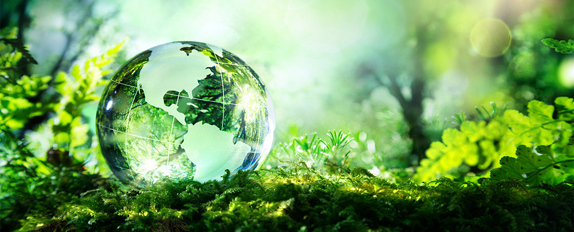 banner-test
