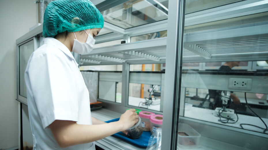 Insect Rearing Chambers Market Size, Share, and Trends Analysis