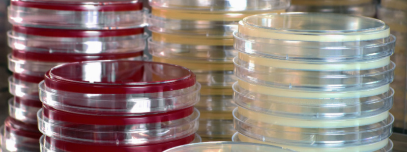 Microbiological Incubator Near Me | Laboratory Incubator | BOD Incubator | Reach-In Environmental Chambers