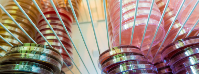 Reach-In Stability Refrigerator | Stability Chambers | Controlled Environment Rooms Near Me