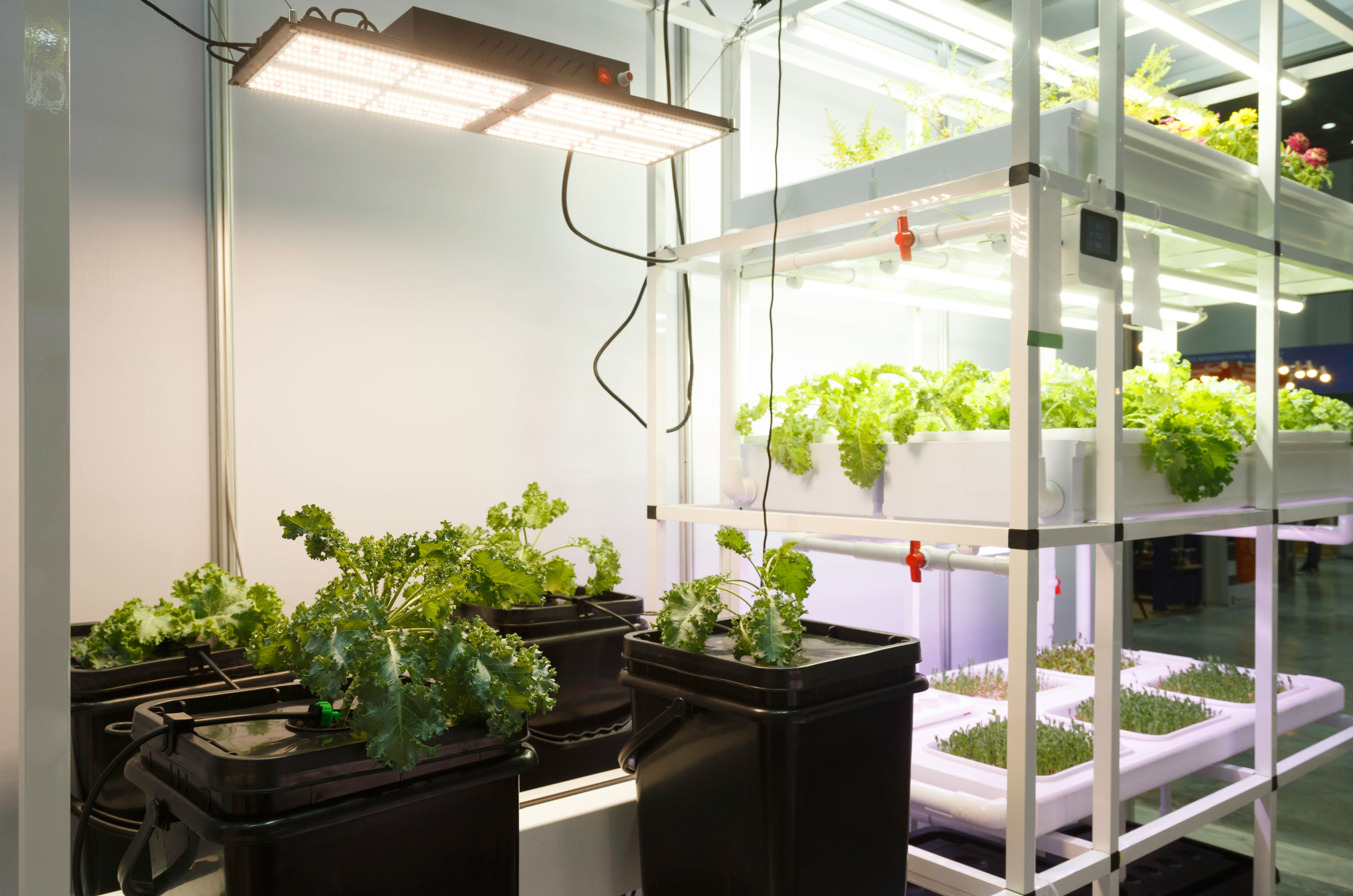 CBD Stability Chamber | Controlled Environment Rooms | Microorganism Lab Chambers