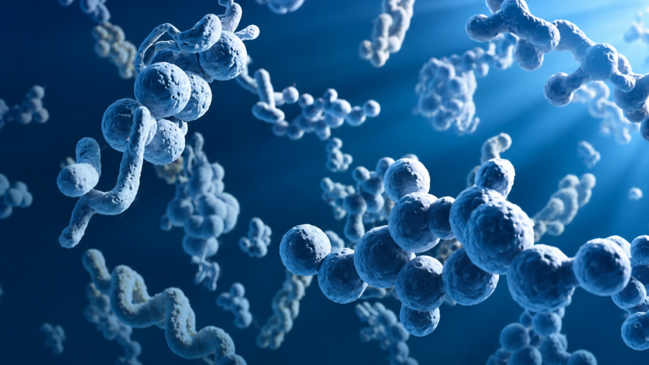 Peptide Stability and Compliance: FDA Expectations, Storage Requirements, and Environmental Control 