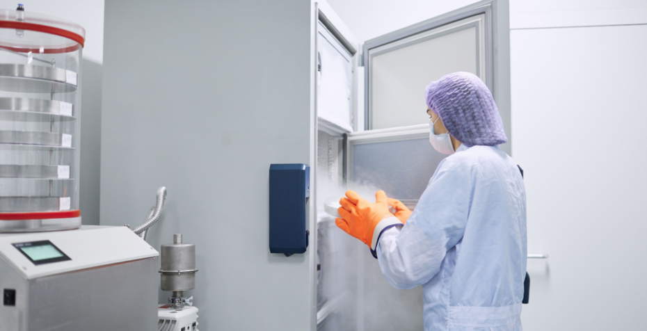 What Are Freeze Thaw Chambers?