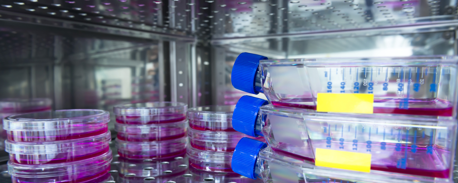 Sacramento, CA laboratory incubators | laboratory incubators for Sacramento, CA professionals