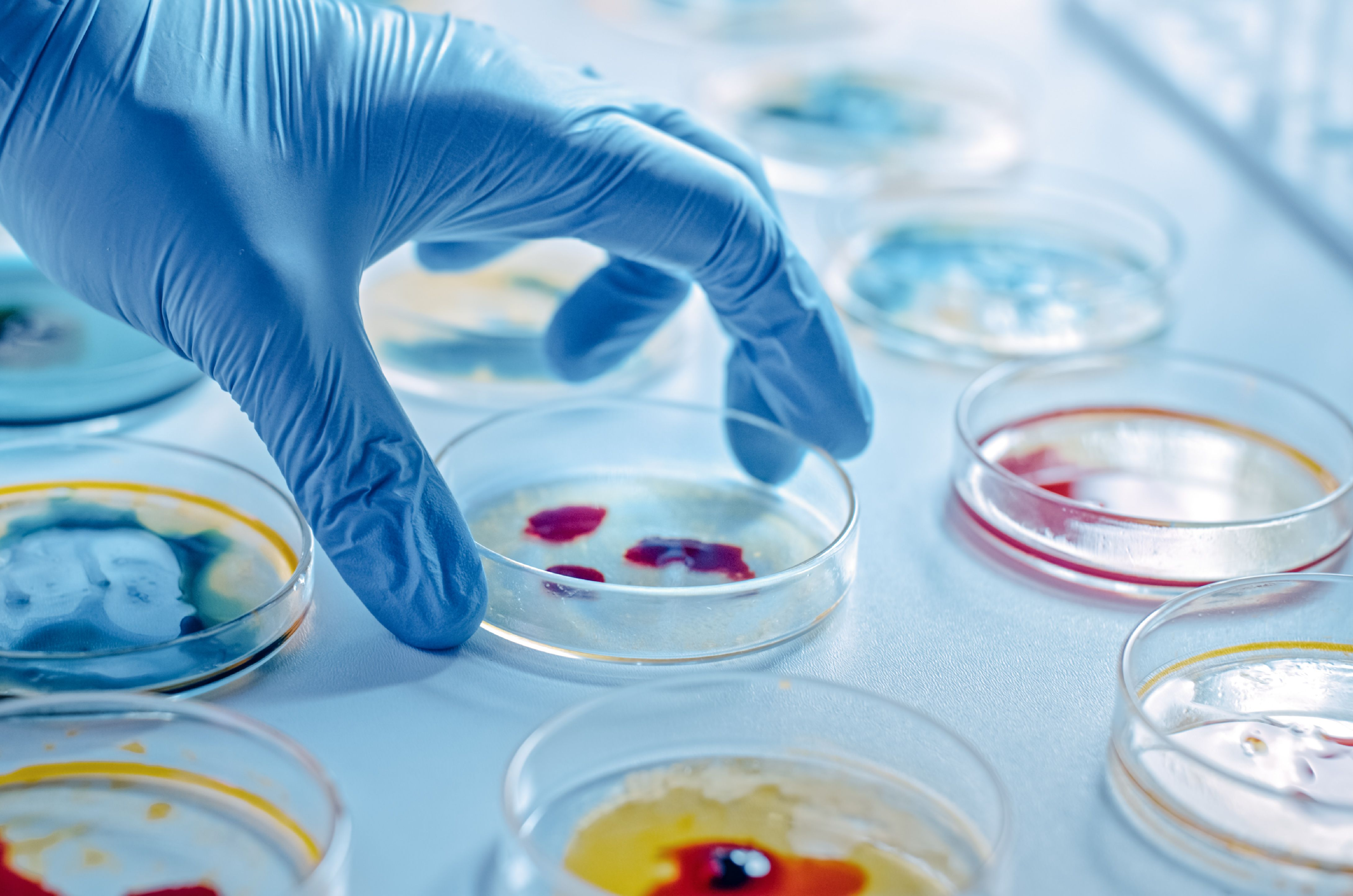 Microbiology Incubators | Controlled Environment Rooms | Microorganism Lab Chambers